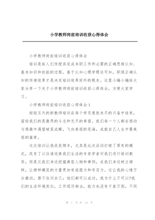 小学教师岗前培训收获心得体会.docx