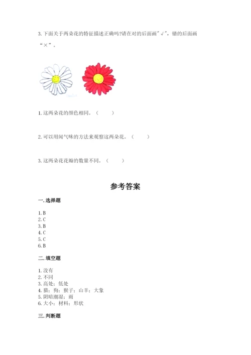 教科版一年级下册科学期末测试卷精品（全优）.docx