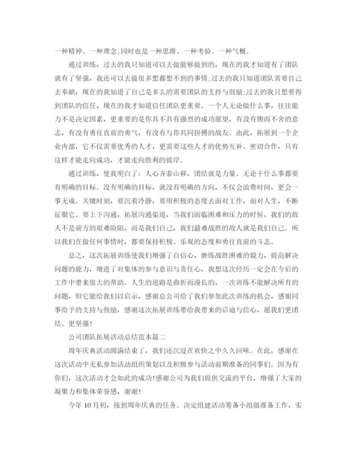 精编之公司团队拓展活动总结范本.docx