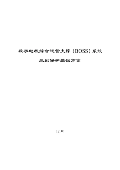 广电BOSS系统等级保护测评整改专题方案.docx