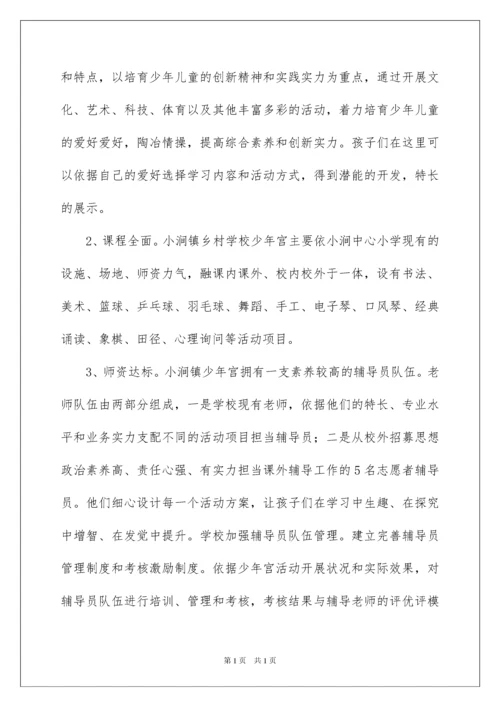 2022乡村学校少年宫活动自查报告.docx