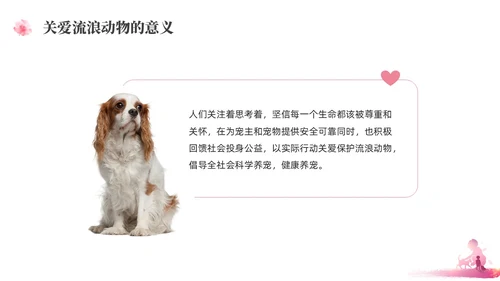 紫红色水彩简约关爱流浪动物宣传教育PPT课件