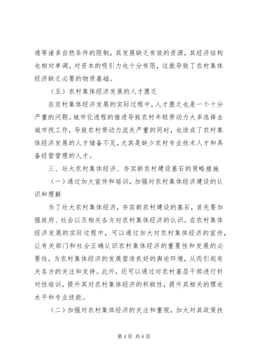 壮大农村集体经济，夯实新农村建设基石.docx
