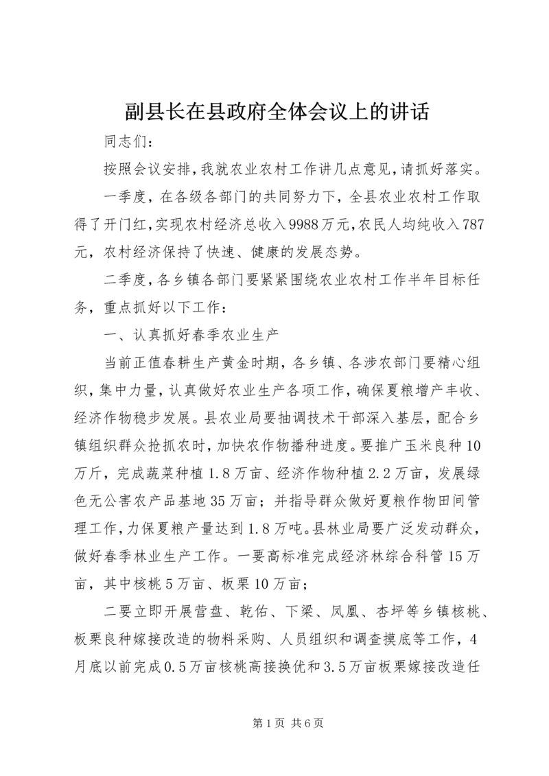 副县长在县政府全体会议上的讲话.docx