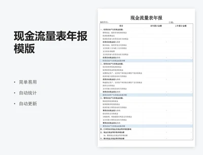 现金流量表年报模版