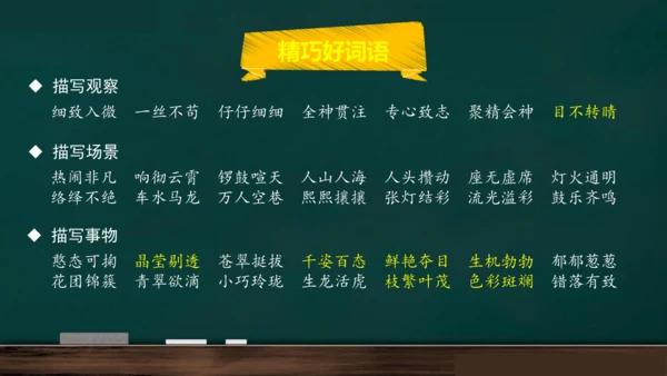 统编版语文三年级上册 第五单元习作： 我们眼中的缤纷世界课件