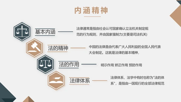 严谨大气法律法学律师工作汇报动态PPT模板