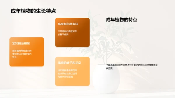 揭秘植物生长奇观