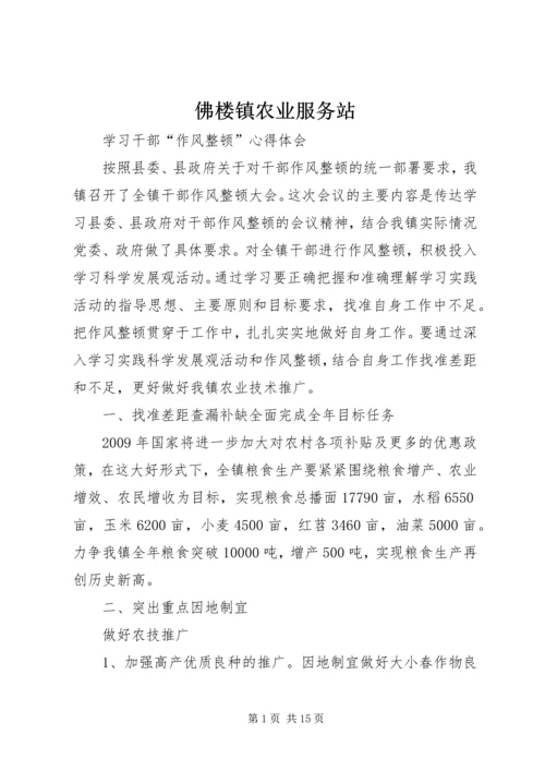 佛楼镇农业服务站.docx