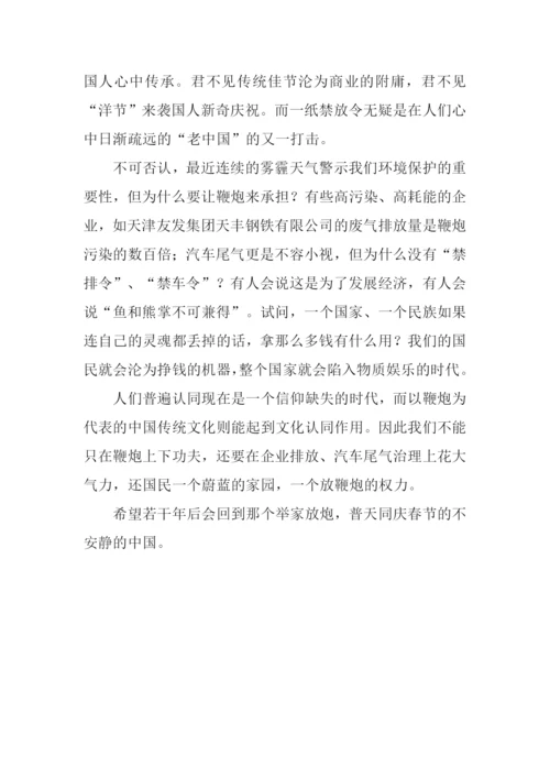 今年过年有点静作文900字.docx