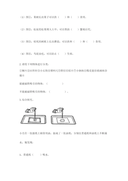 教科版二年级上册科学期末测试卷（巩固）word版.docx