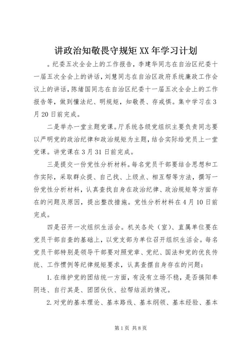 讲政治知敬畏守规矩XX年学习计划.docx