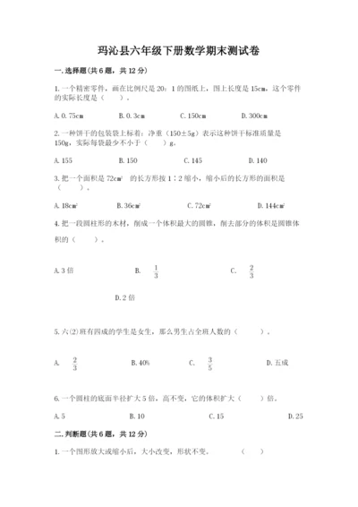 玛沁县六年级下册数学期末测试卷（达标题）.docx