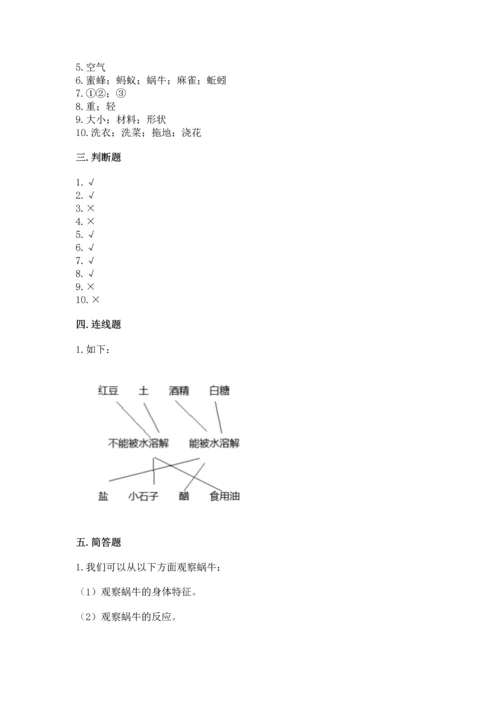 教科版一年级下册科学期末测试卷精品（突破训练）.docx