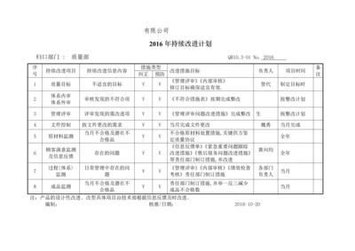 持续改进计划及检查.docx