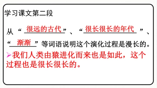 统编版语文五年级上册第五单元 习作例文《鲸》《风向袋的制作》 课件