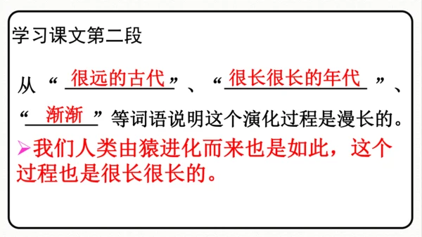 统编版语文五年级上册第五单元 习作例文《鲸》《风向袋的制作》 课件