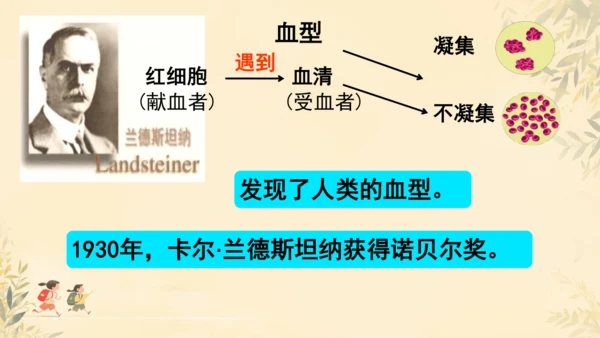 初中生物学人教版（新课程标准）七年级下册4.4.4 输血与血型课件(共19张PPT)