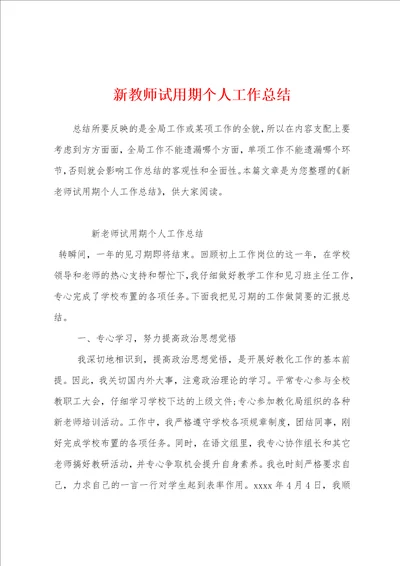 新教师试用期个人工作总结