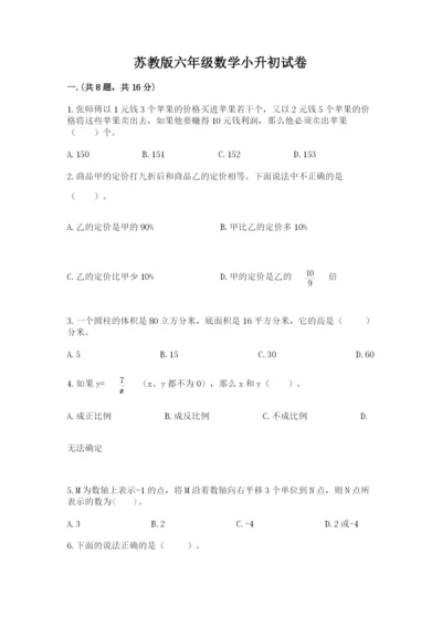 苏教版六年级数学小升初试卷（综合题）.docx