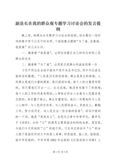 副县长在我的群众观专题学习讨论会的发言提纲.docx