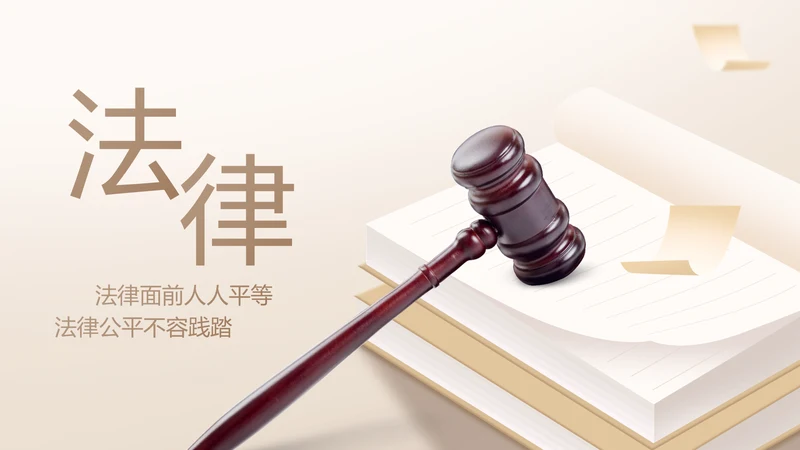大气创意法律律法律师工作总结PPT