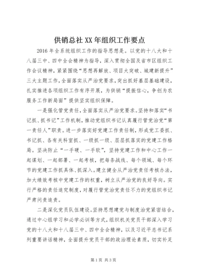 供销总社XX年组织工作要点.docx