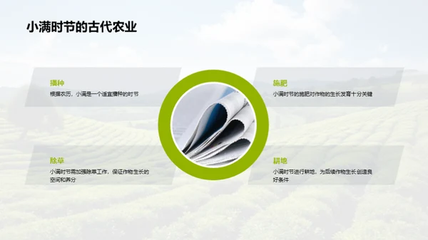 节气智慧与农业