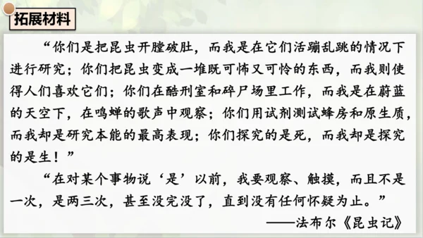 21《蝉》课件