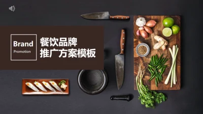 简约商务风餐饮品牌推广方案通用PPT模板