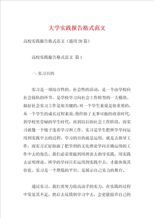 大学实践报告格式范文