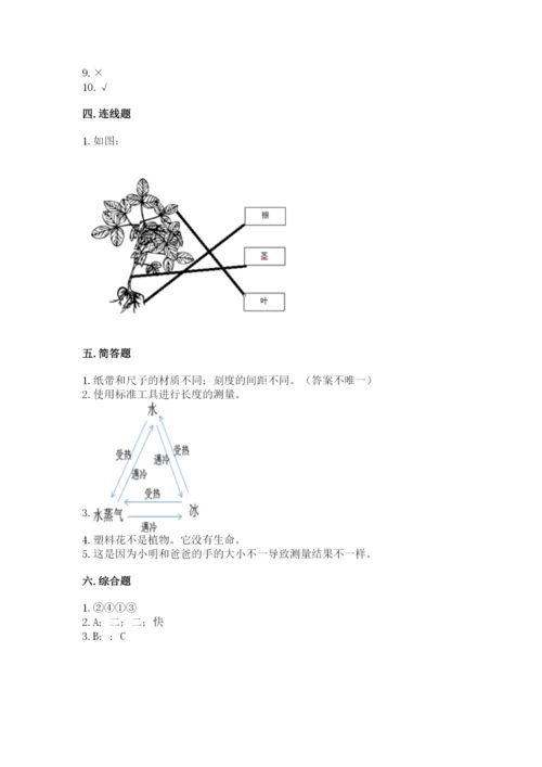 教科版一年级上册科学期末测试卷【必刷】.docx