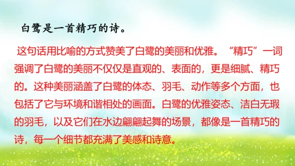 1《白鹭》（课件）