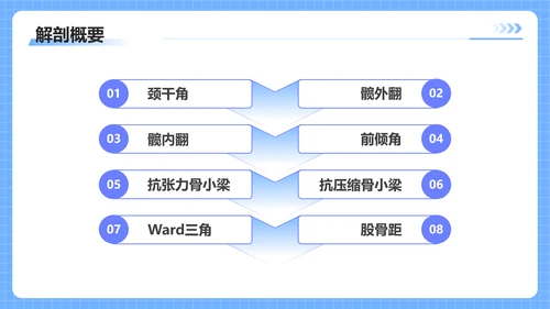 蓝色插画风股骨颈骨医护人员培训讲座医学护理PPT