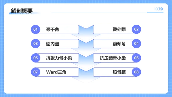 蓝色插画风股骨颈骨医护人员培训讲座医学护理PPT