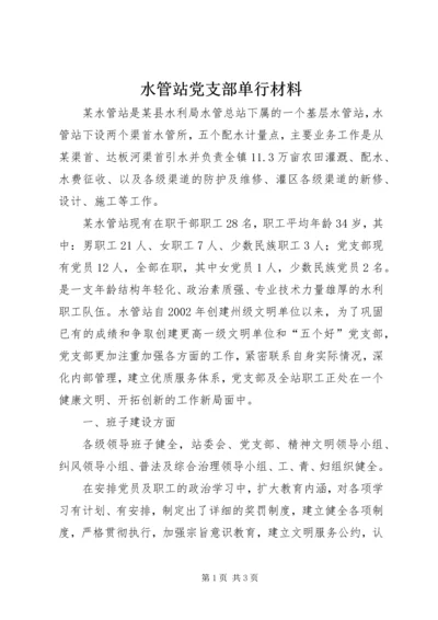 水管站党支部单行材料.docx