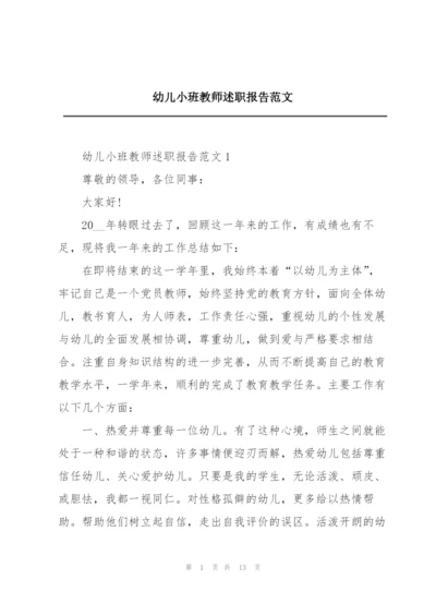 幼儿小班教师述职报告范文.docx