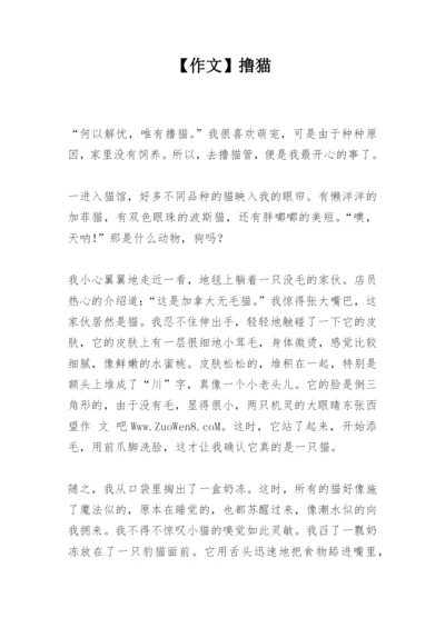【作文】撸猫.docx