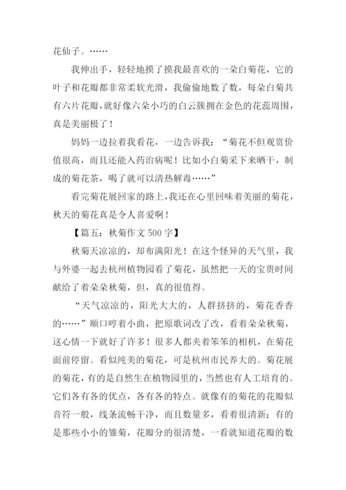 小学生描写菊花的作文.docx