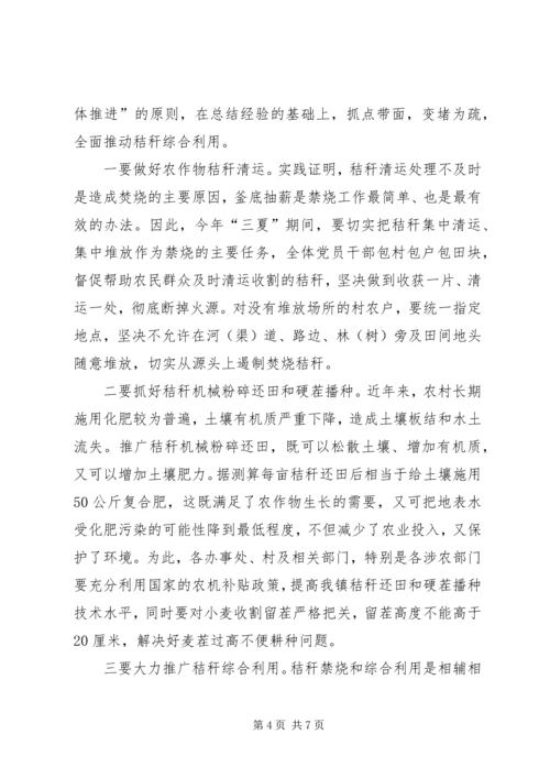 市人大汇报(秸秆禁烧) (4).docx