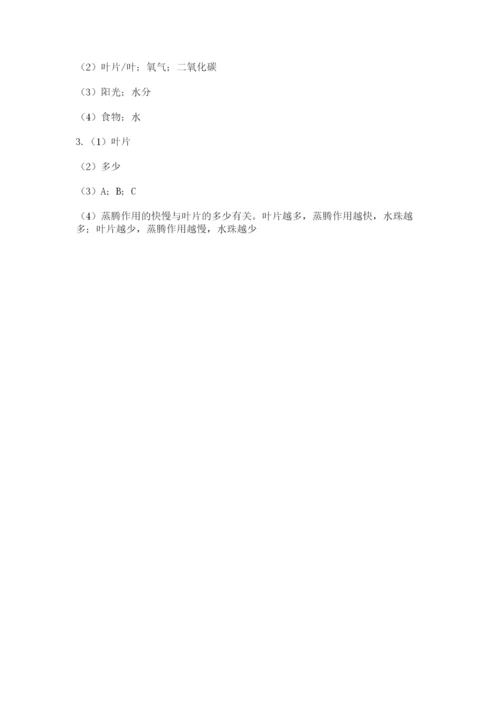 教科版科学四年级下册第一单元《植物的生长变化》测试卷（word）.docx