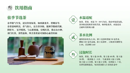 绿色茶产品介绍宣传PPT模板
