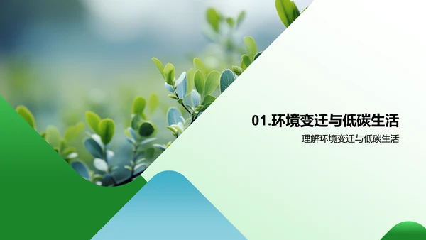 春节绿色行动