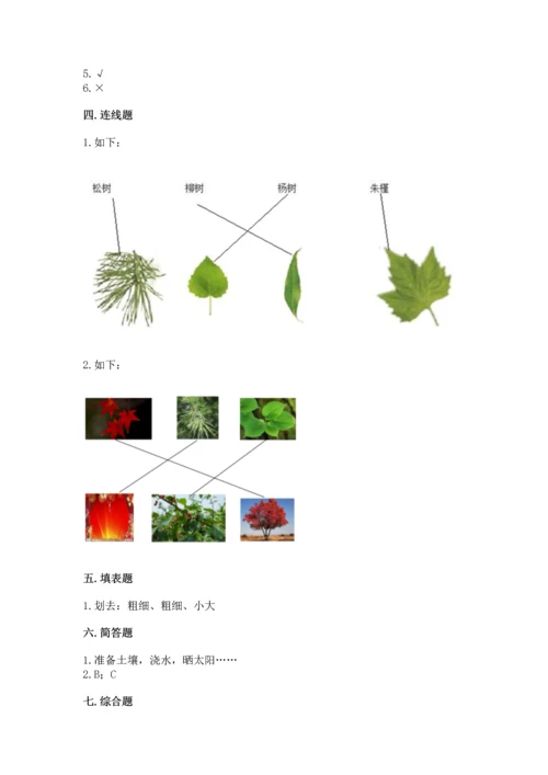 教科版科学一年级上册第一单元《植物》测试卷（培优a卷）.docx