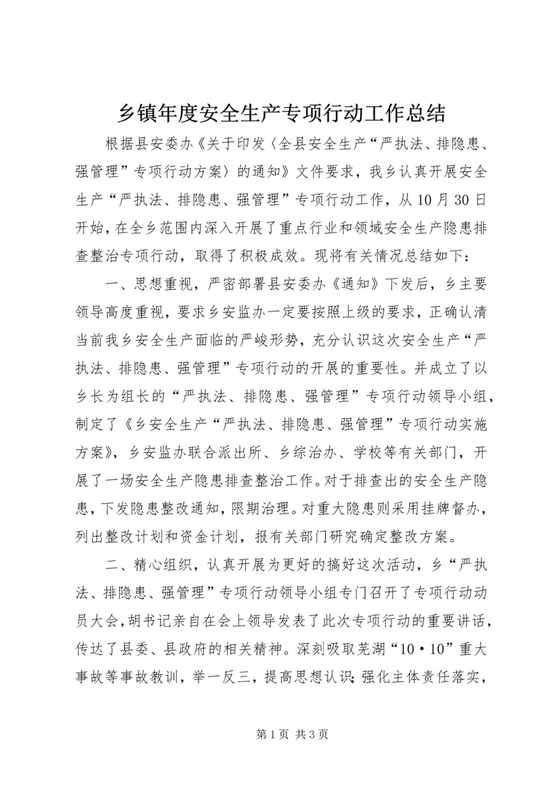 乡镇年度安全生产专项行动工作总结.docx