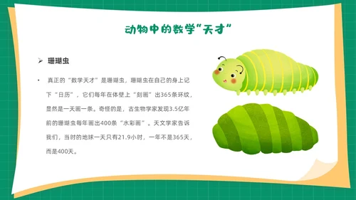 绿色卡通简约背景创意边框儿童数学趣味数学PPT模板