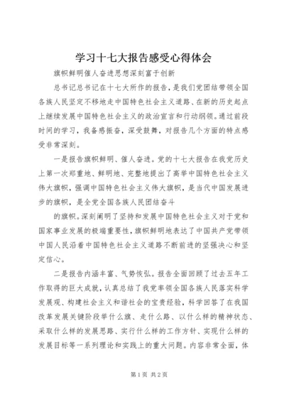 学习十七大报告感受心得体会.docx