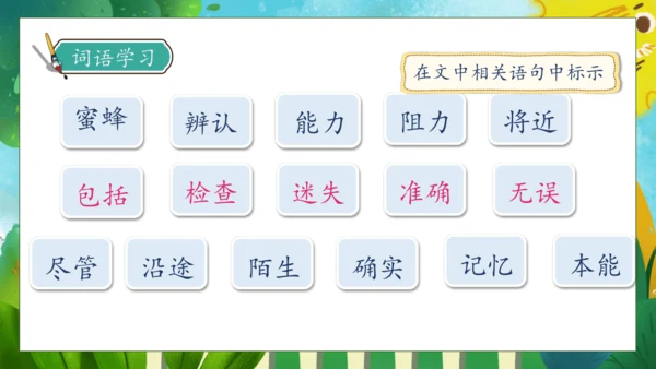 【核心素养】部编版语文三年级下册-14. 蜜蜂 第1课时（课件）