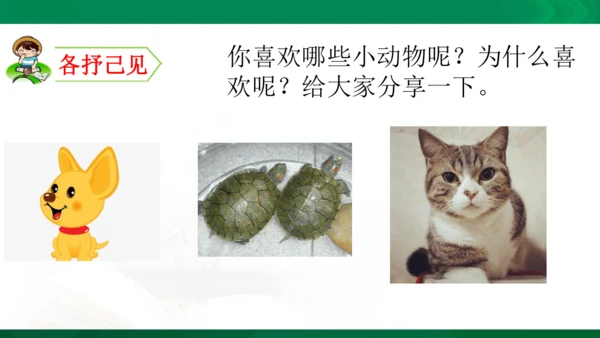 部编版二年级语文看图写话写动物课件