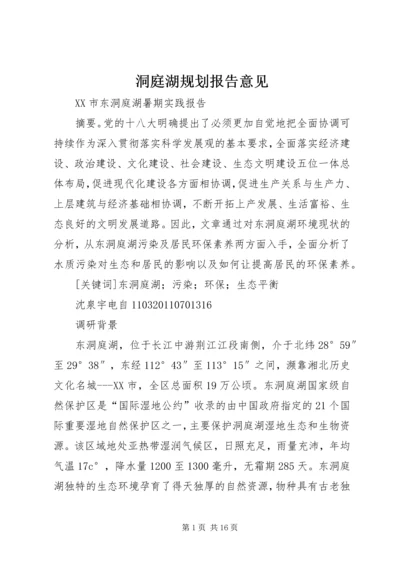 洞庭湖规划报告意见.docx
